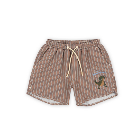 SEER ASNOU SWIMSHORTS