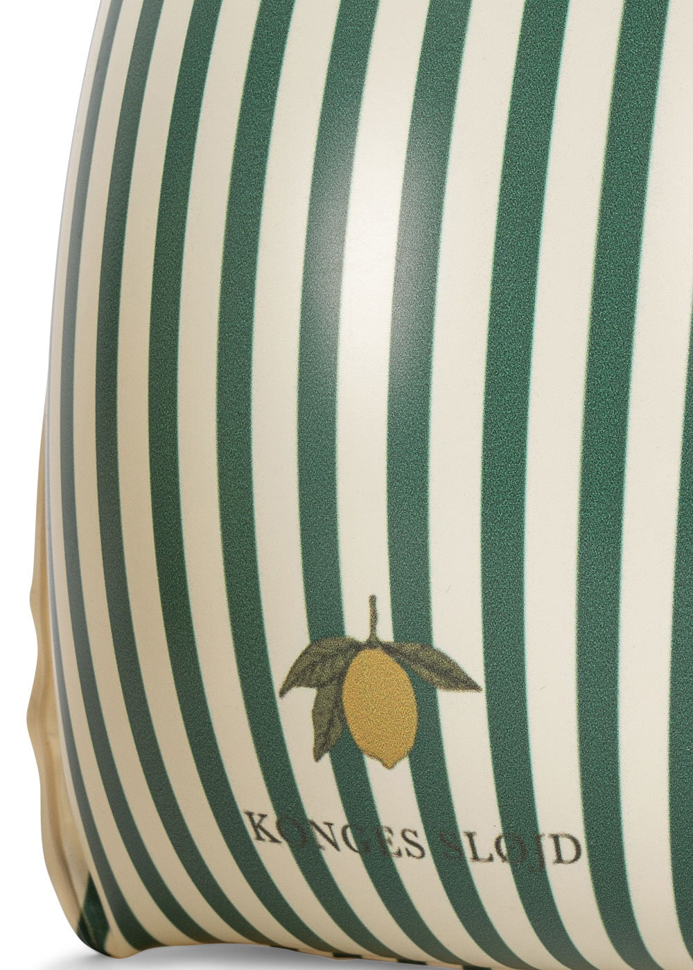 WATER WINGS BASIC - Green Stripe