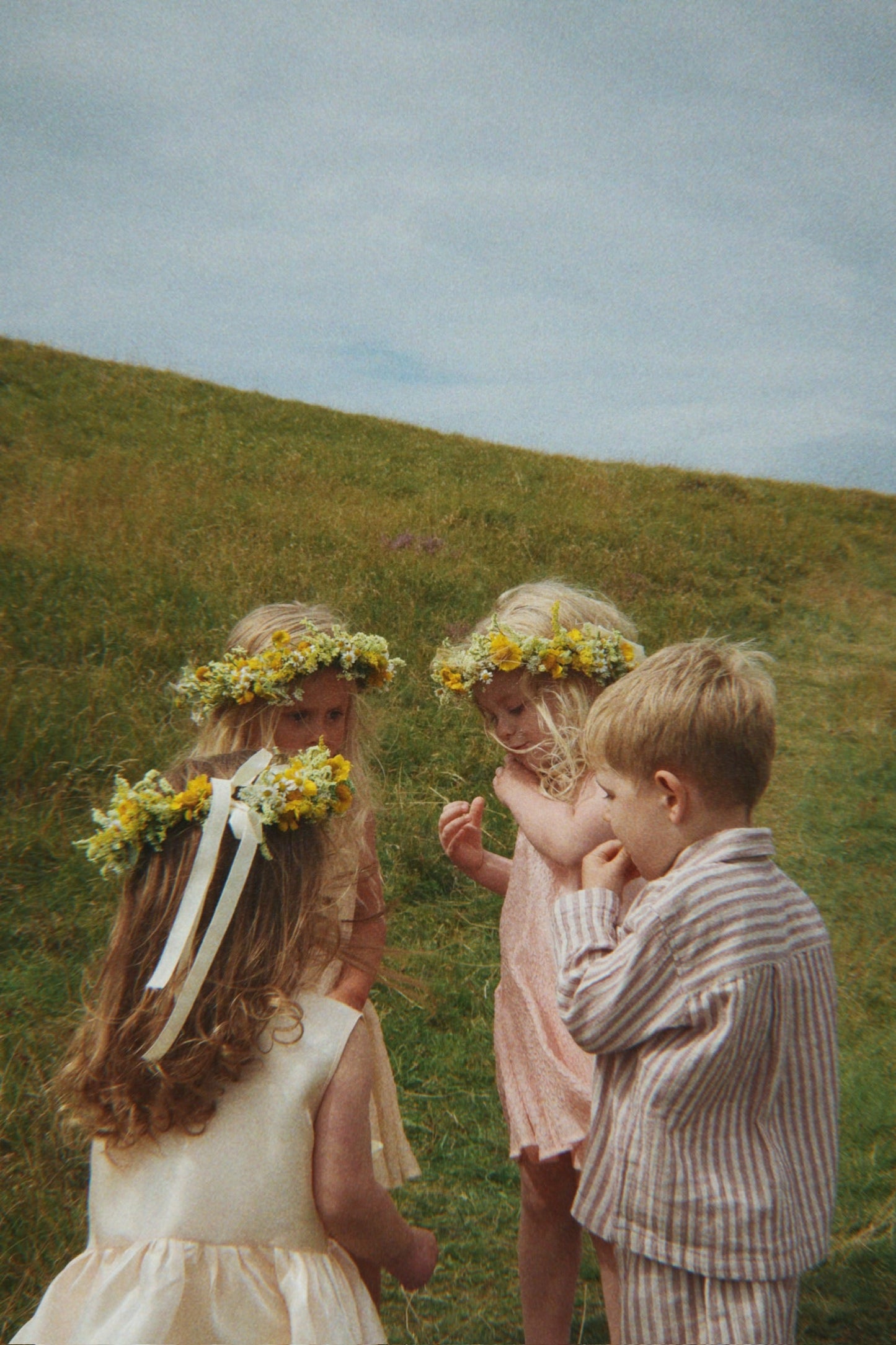 BELLIS DRESS