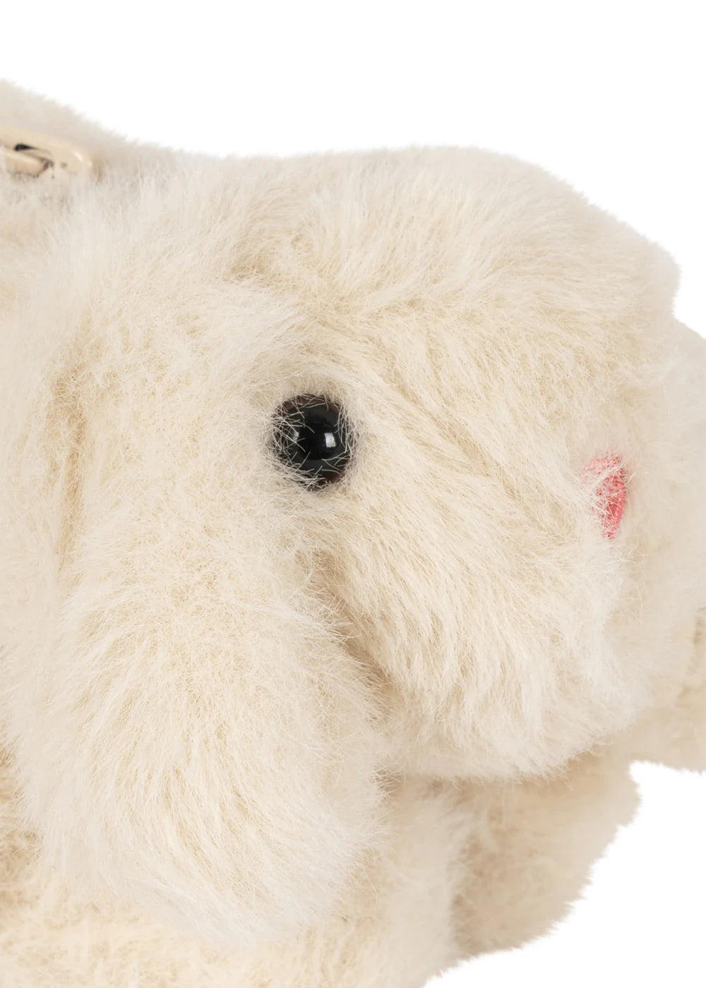 TEDDY PENCIL CASE